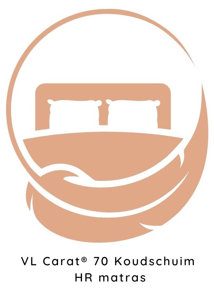 Logo VL Carat 2 (2)
